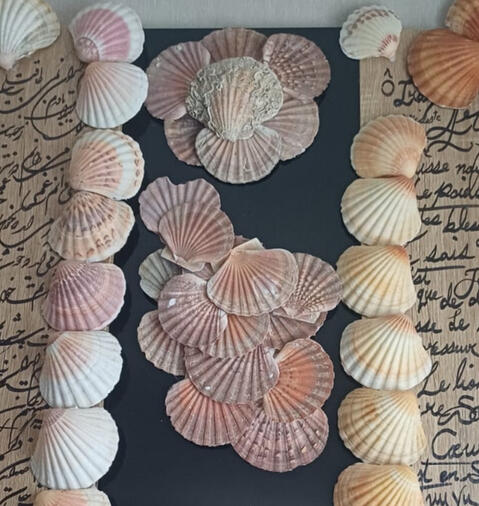 Ma mère Iran